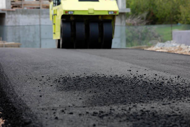 Best Residential Paver Driveway  in Olivia, MN