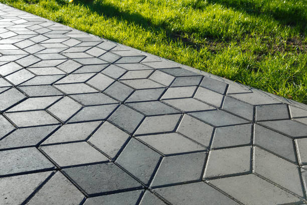 Best Commercial Driveway Pavers  in Olivia, MN