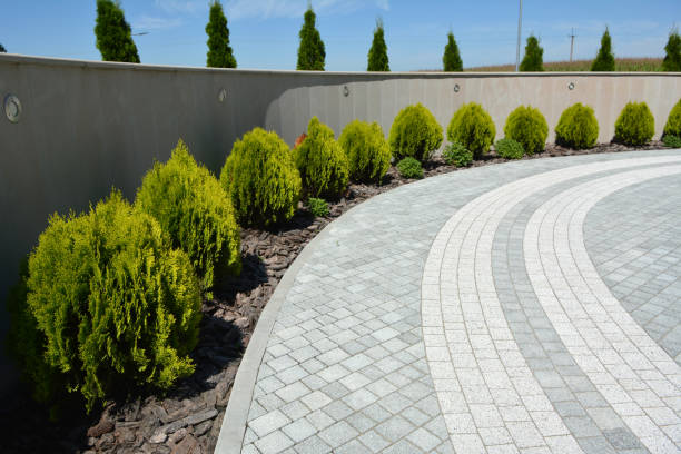 Best Residential Driveway Paver Services  in Olivia, MN