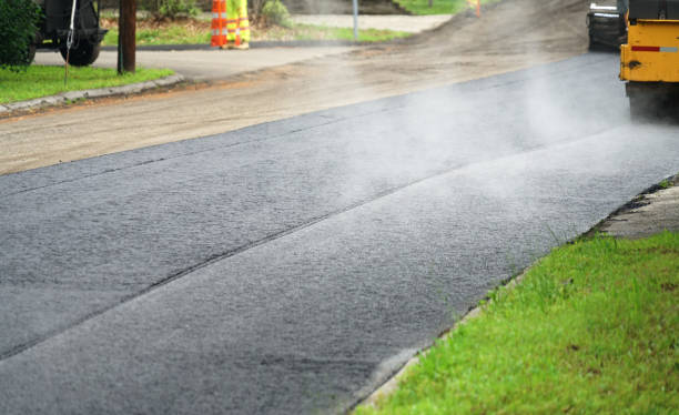 Best Decorative Driveway Pavers  in Olivia, MN